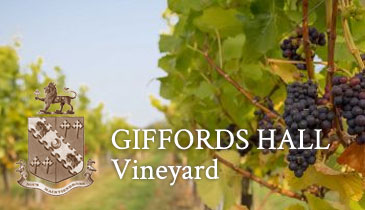 Giffords Hall Vineyard