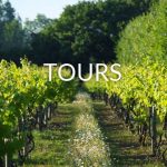 group-vineyard-tours