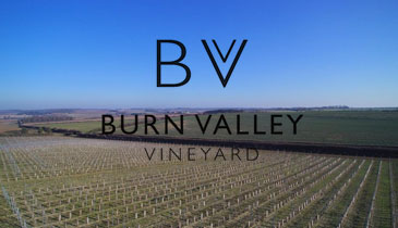 Burn Valley Vineyard