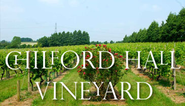 Chilford Hall Vineyard