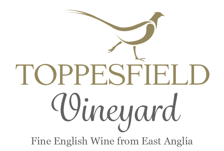 Toppesfield Vineyard